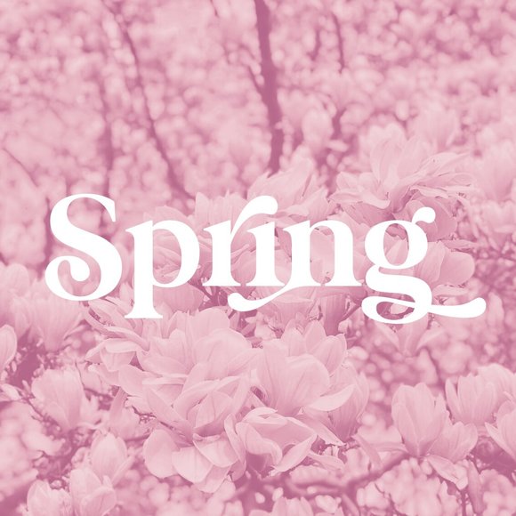 Get ready for spring - Picture 1 of 1